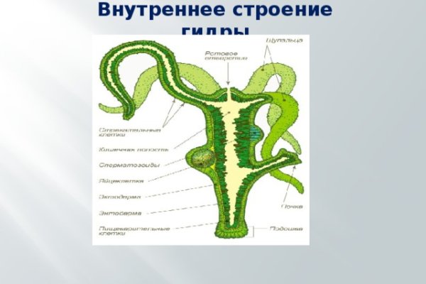 Что такое кракен маркетплейс в россии