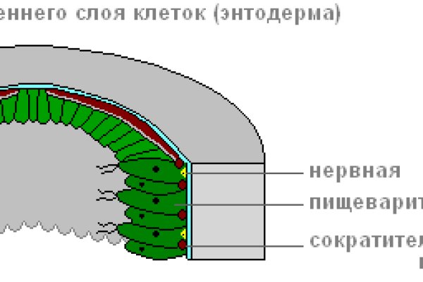 Как пополнить баланс на кракене