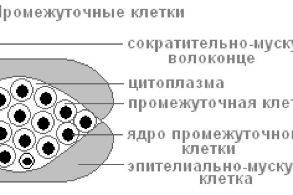 Сайт кракен зайти