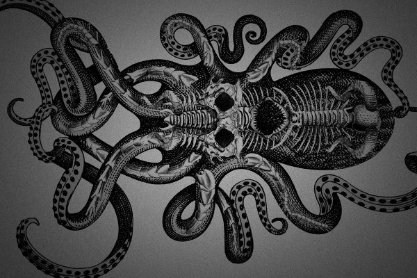 Kraken магазин kraken clear com